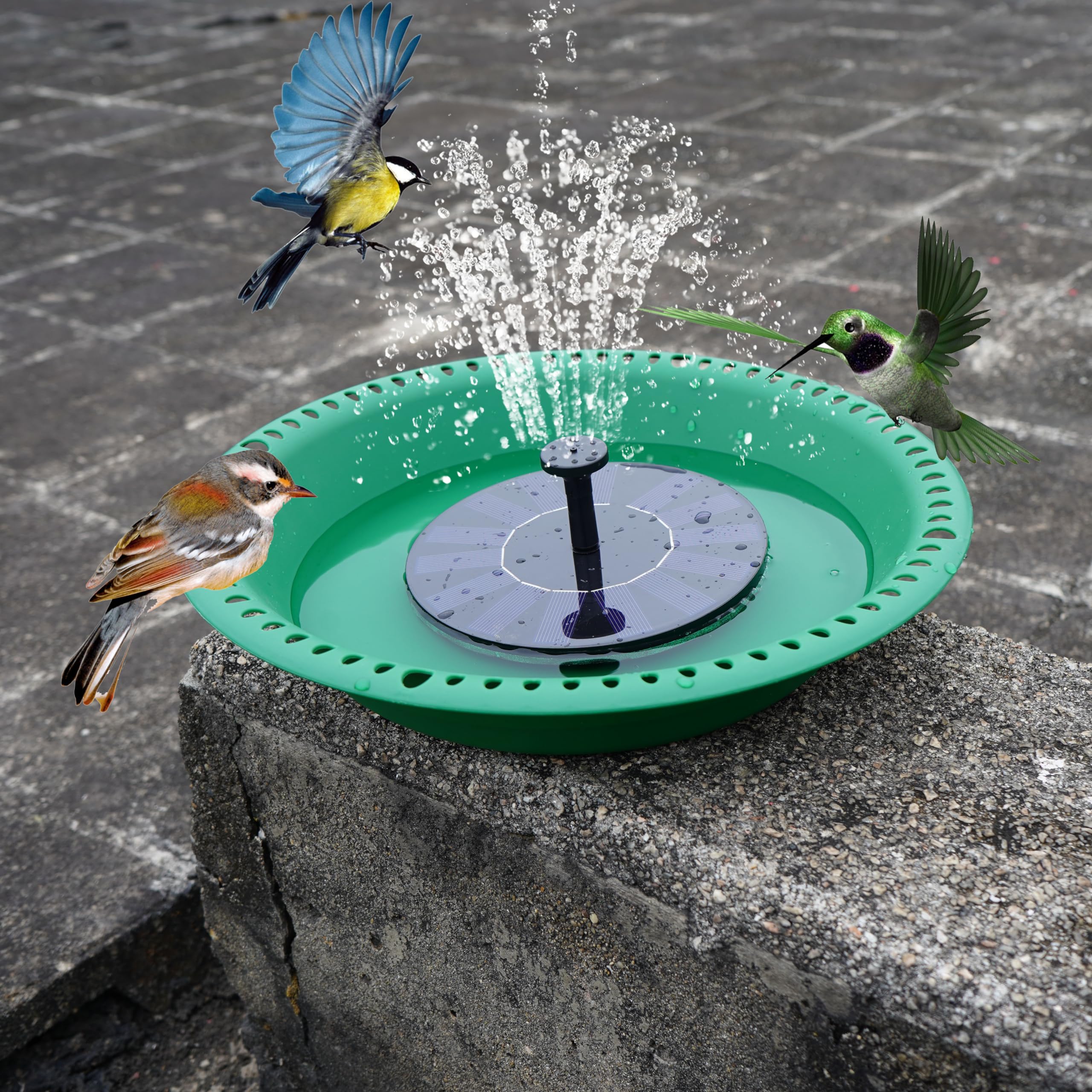 OVZILKI vista superior con agua lista para aves y fuente solar