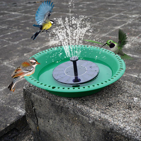 OVZILKI vista superior con agua lista para aves y fuente solar