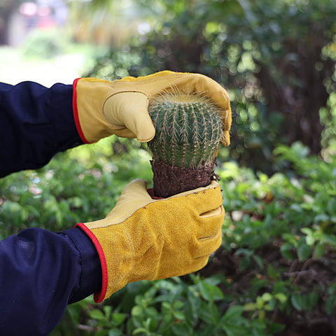 OZERO muñeca elástica que evita suciedad y facilita extracción