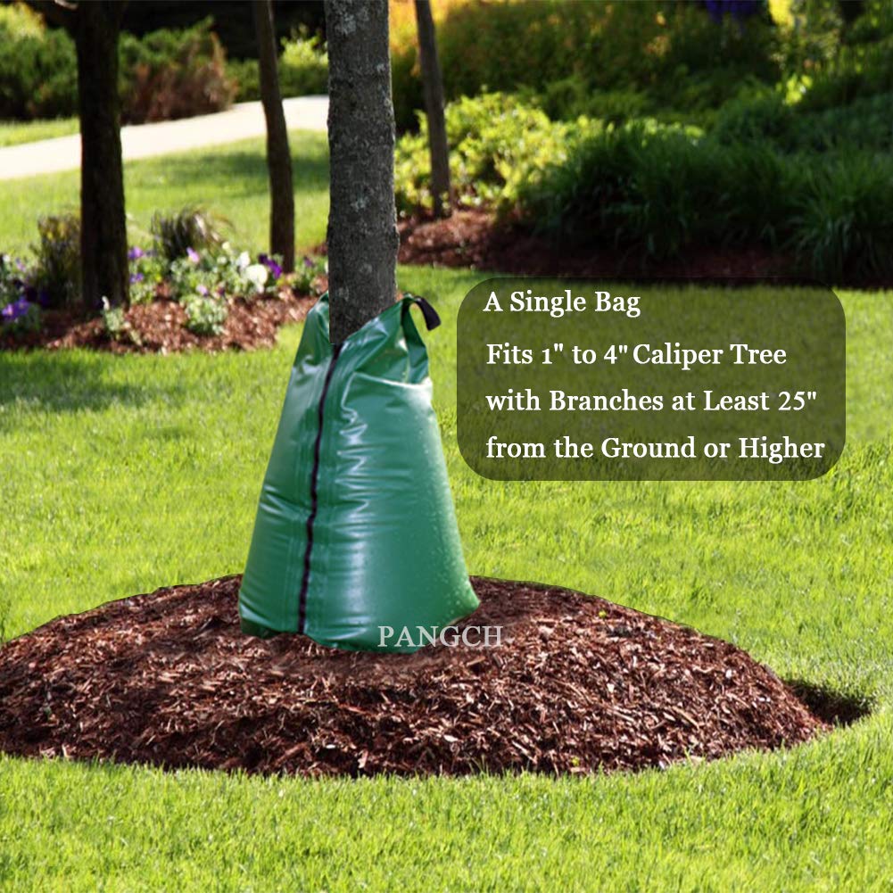 PANGCH bolsa en uso alrededor de un árbol para riego profundo eficiente