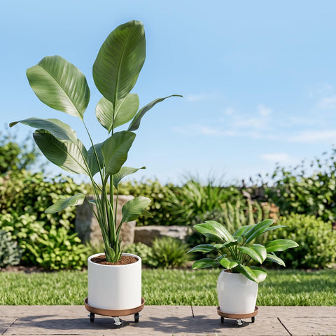Parsagi plant caddy en salón, movilidad práctica y discreta