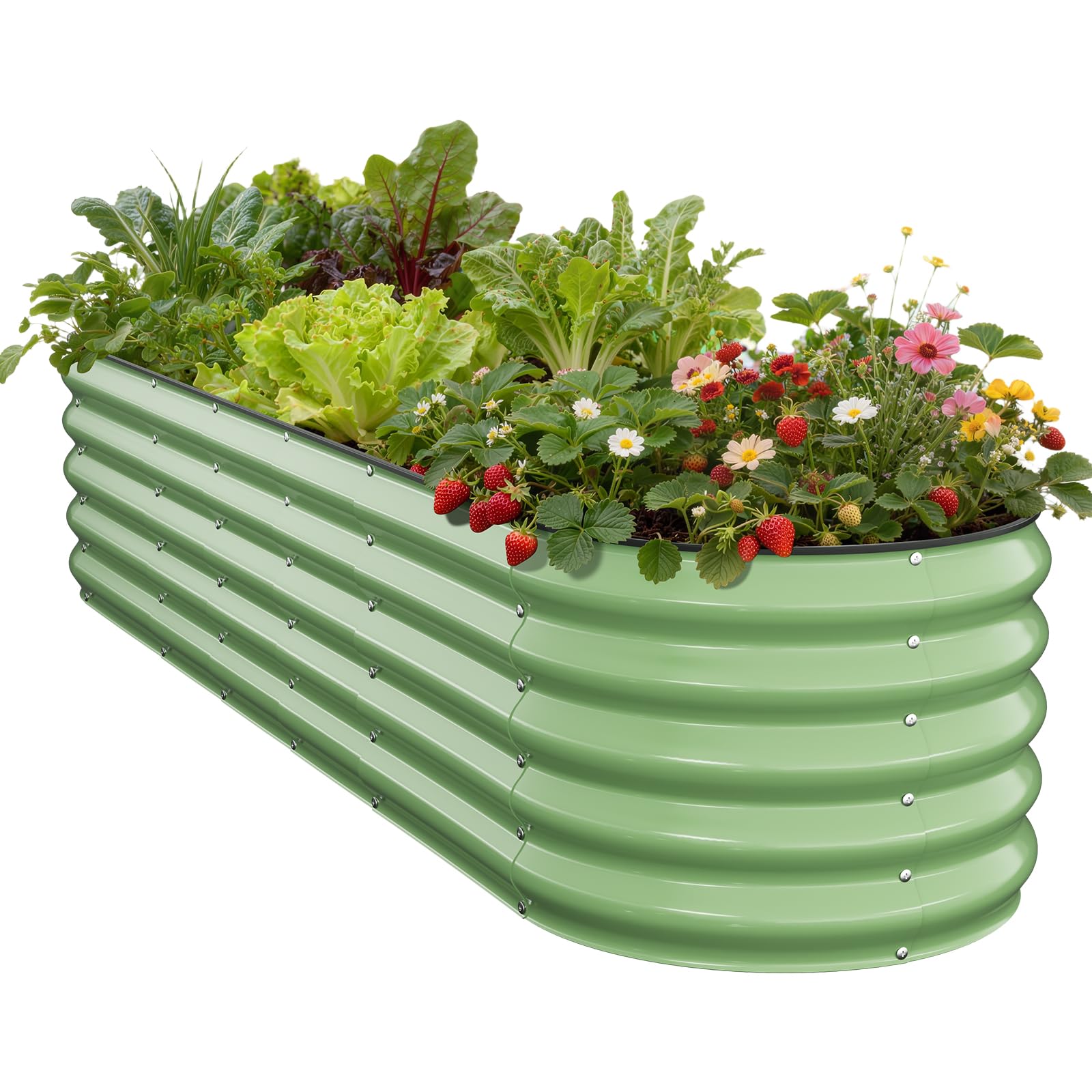 Pattiumo vista frontal de jardinera galvanizada, resistente y estética