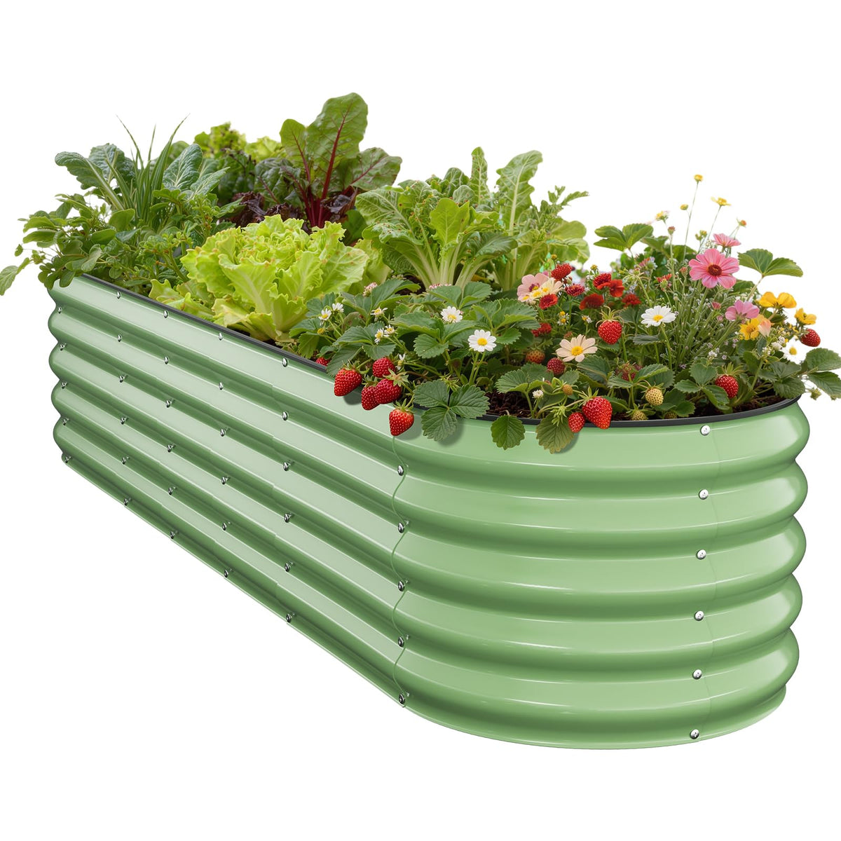 Pattiumo vista frontal de jardinera galvanizada, resistente y estética