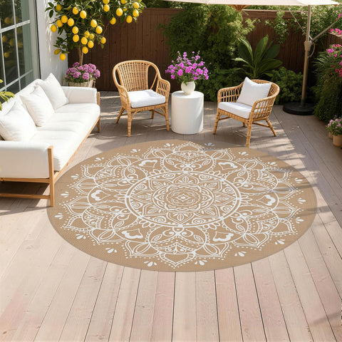Pauwer vista frontal del tapete empacado mostrando diseño floral y tamaño