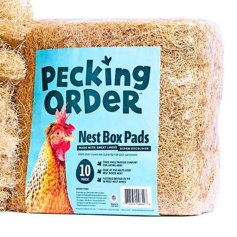 Pecking Order colocada en nido con gallina, facilita recolección y limpieza