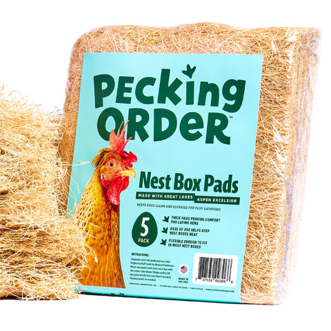 Pecking Order almohadilla en nido con huevo visible facilita recolección segura