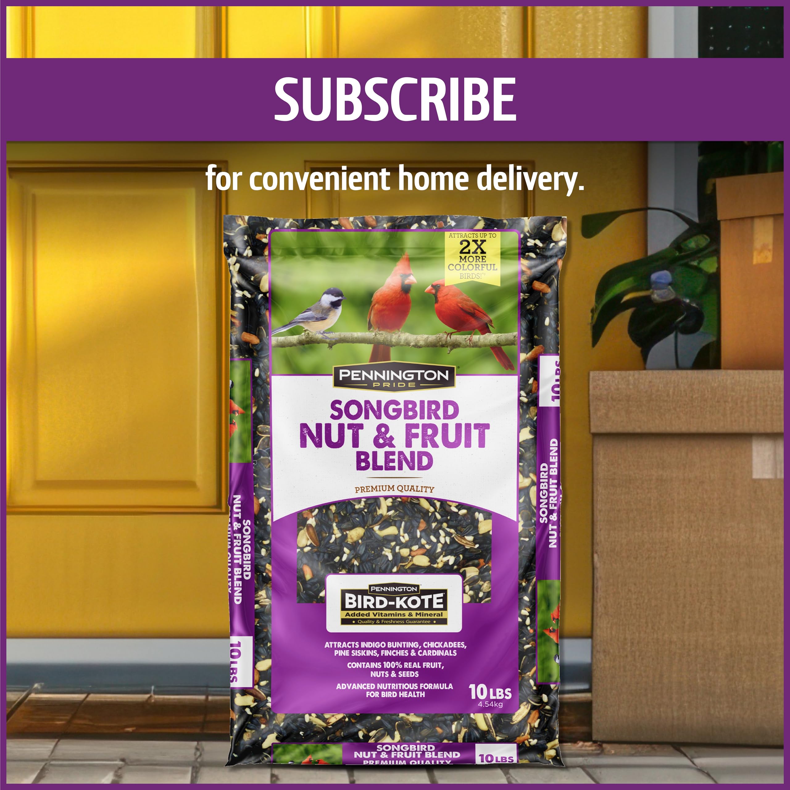 Pennington comedero en jardín con paisaje para ambiente natural