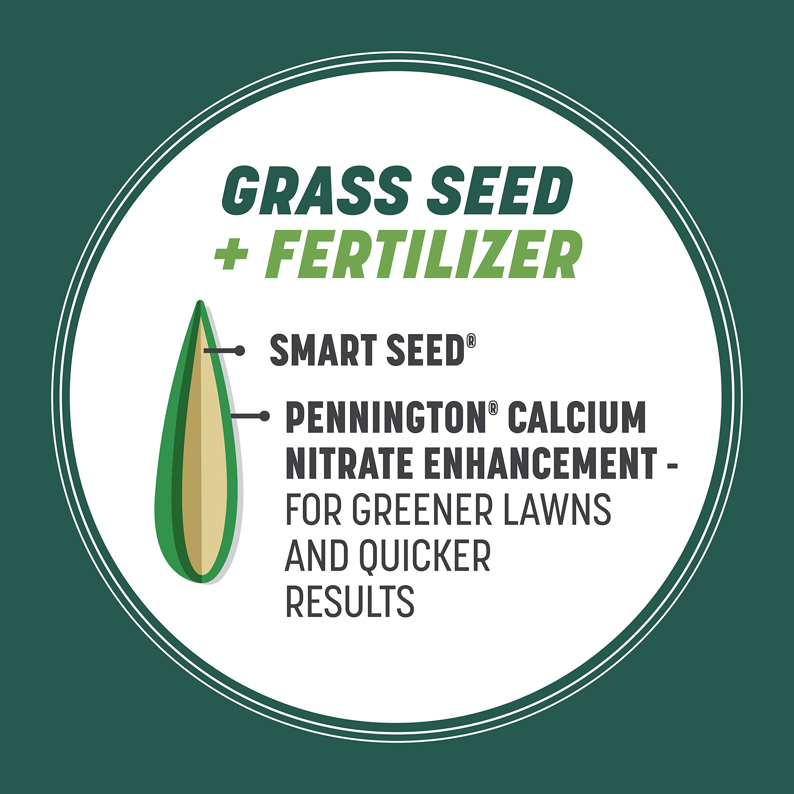 Aplicación de Pennington Smart Seed sobre césped para renovar áreas despobladas