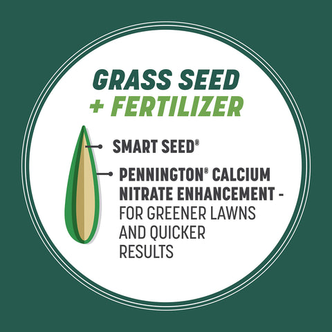 Aplicación de Pennington Smart Seed sobre césped para renovar áreas despobladas