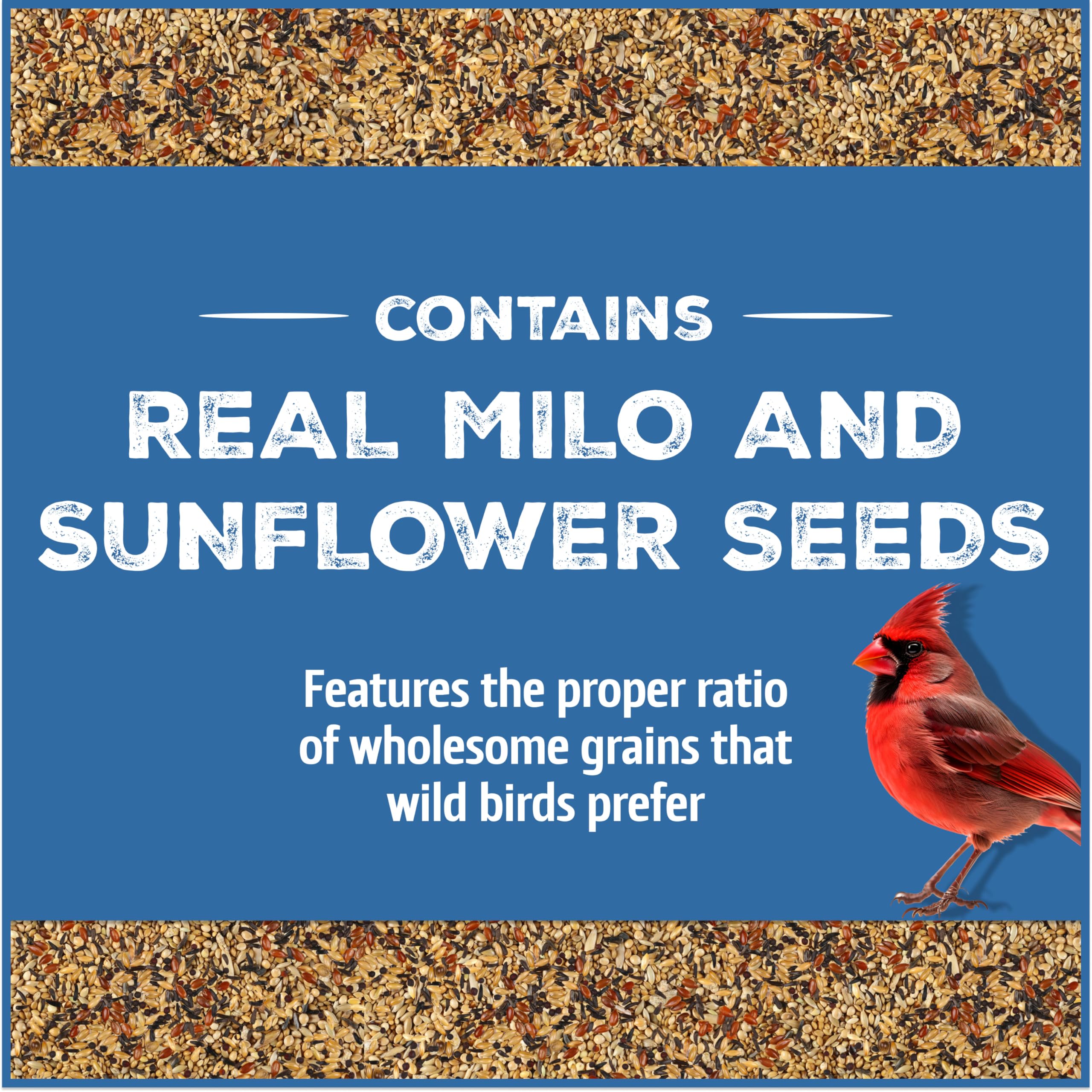Pennington primer plano de mezcla de semillas que atrae muchas aves