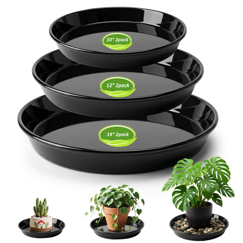 PeoMev vista frontal del pack de 6 platos mostrando tamaños y forma, protección eficaz