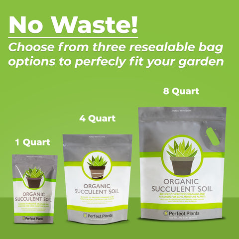 Perfect Plants bolsa junto a regla para comparación de tamaño y cantidad