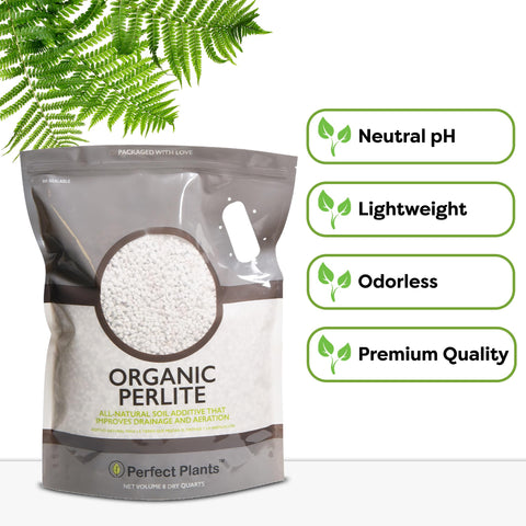 Perfect Plants comparación de tamaño de gránulos para elección precisa