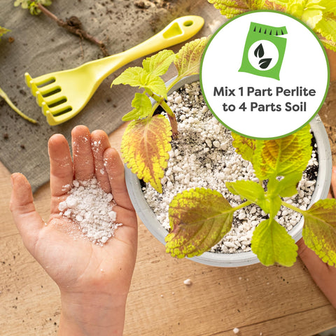 Perfect Plants etiqueta legible con instrucciones y beneficios claros