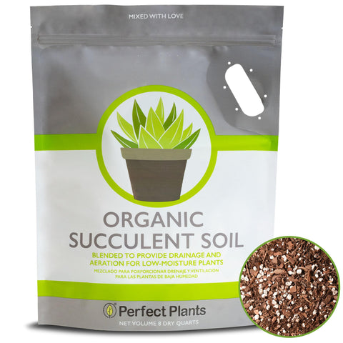Perfect Plants empaque frontal mostrando volumen y marca, conserva frescura