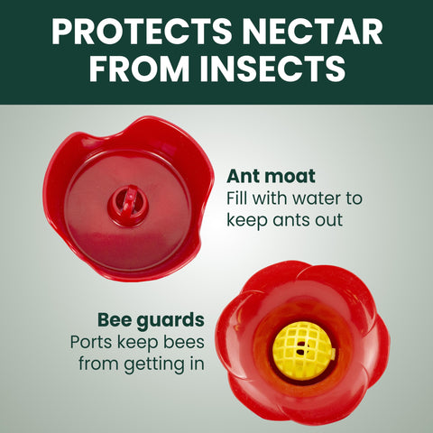 Perky-Pet antimoat integrado con agua para bloquear hormigas