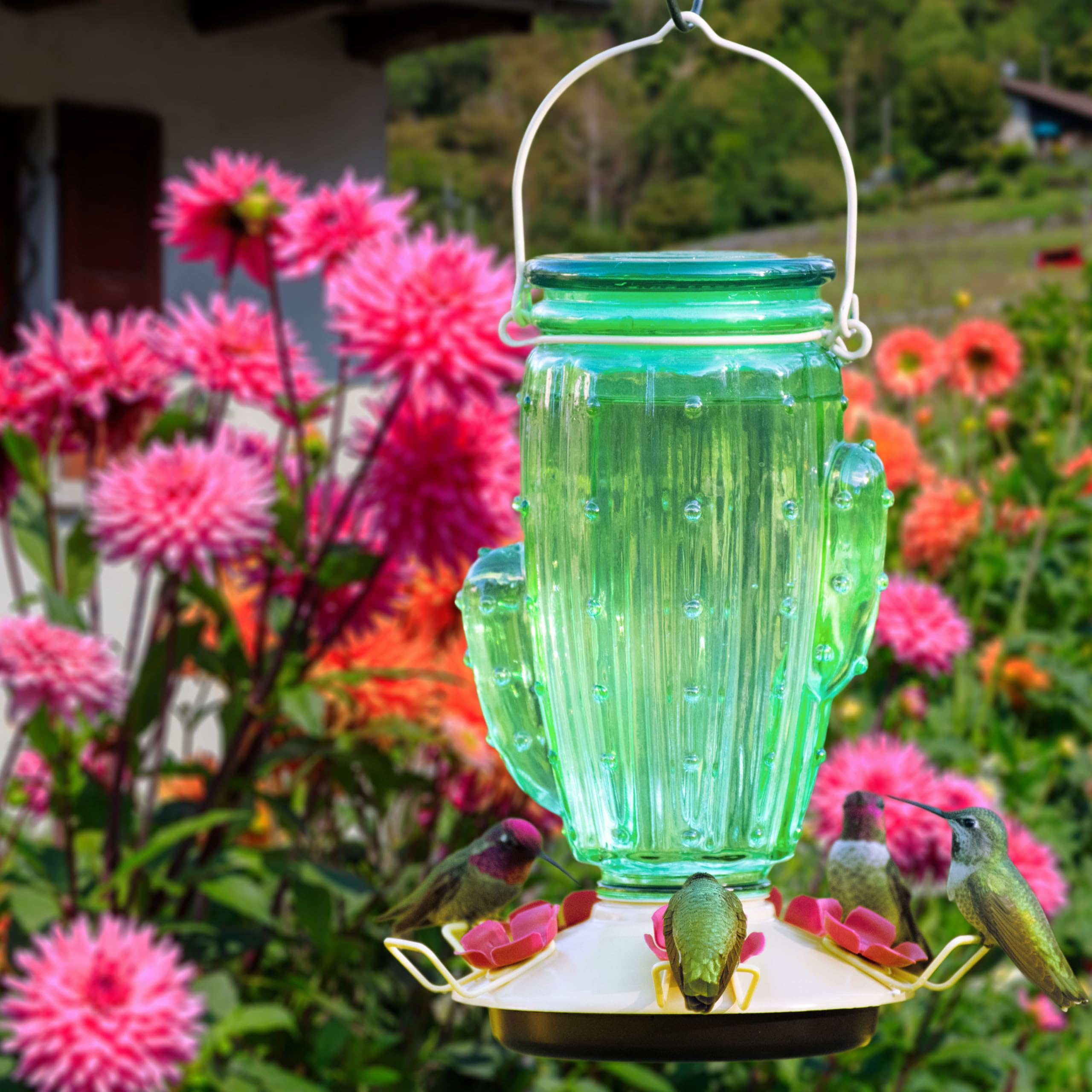 Perky-Pet varios colibríes alimentándose simultáneamente en el bebedero