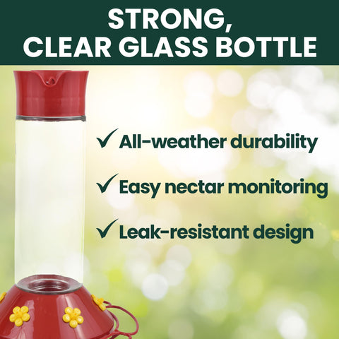 Perky-Pet enfoque en puertos tipo petunia, imitan flores y atraen colibríes