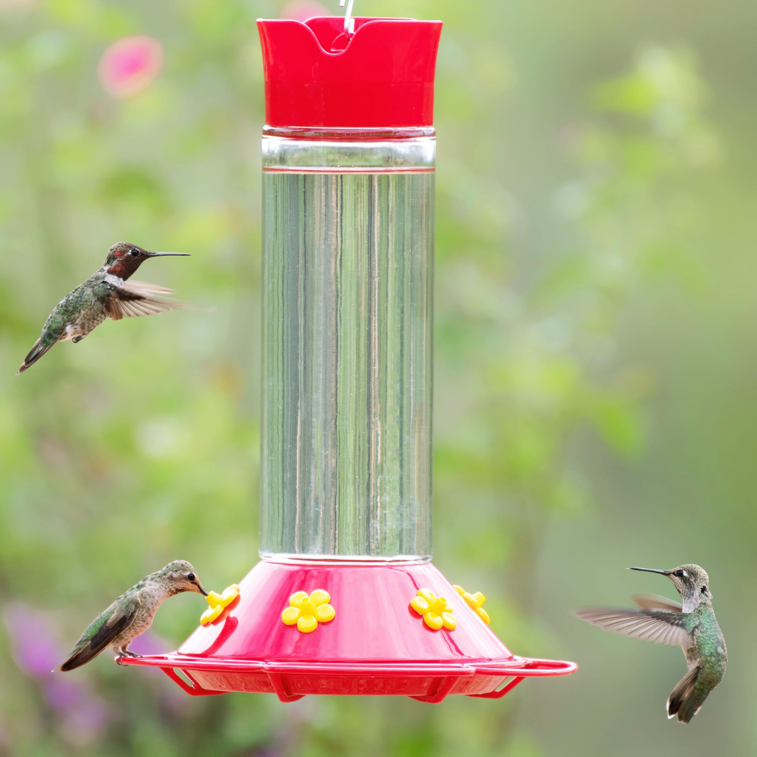 Perky-Pet instalado en jardín con colibrí alimentándose, experiencia real