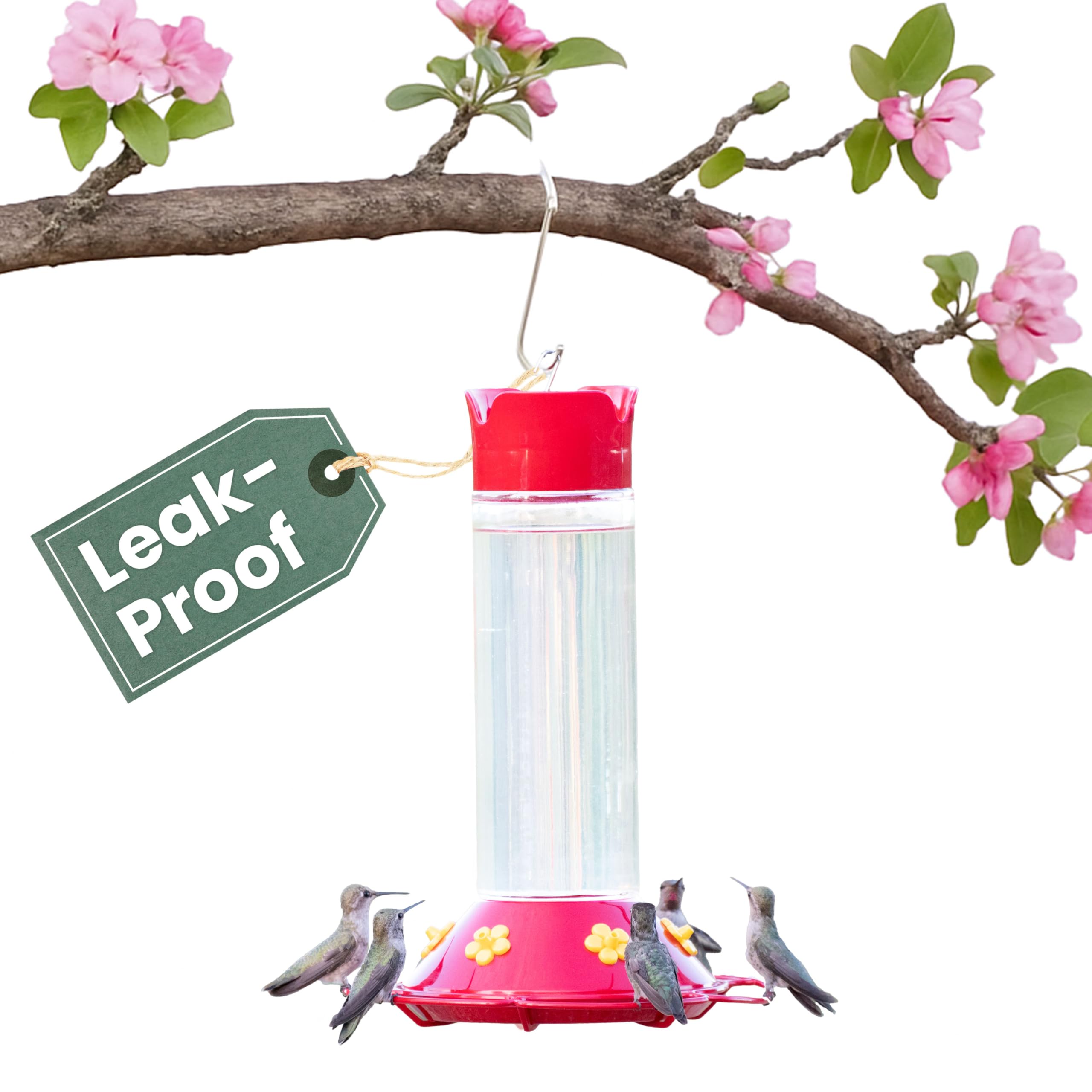 Perky-Pet vista frontal del alimentador de cristal, atractivo para observación