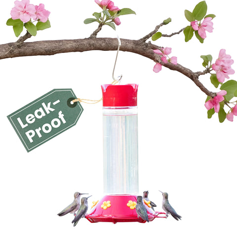 Perky-Pet vista frontal del alimentador de cristal, atractivo para observación