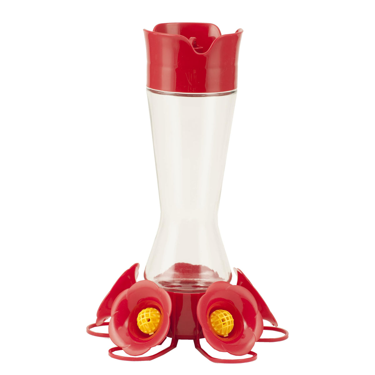 Perky-Pet vista frontal del alimentador de vidrio con ventaja de observación