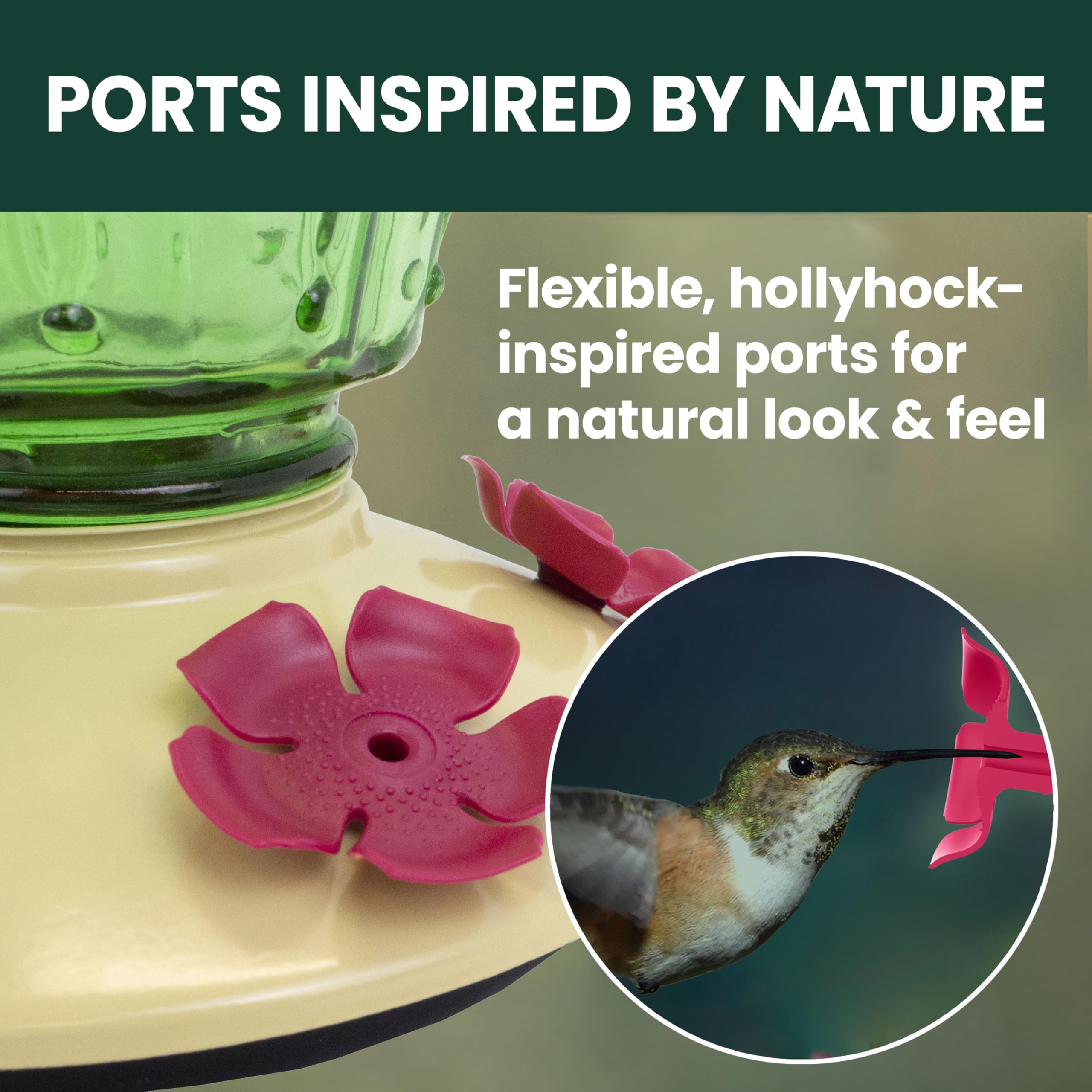 Perky-Pet perchita removible mostrando comodidad de descanso para colibríes