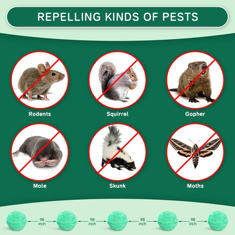 PestXDrops bolas colocadas en un armario protegiendo ropa y despensa de roedores