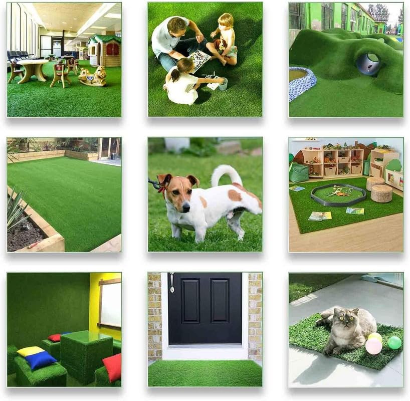 Petgrow comparación de tamaño con manos para escala útil