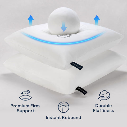 Phantoscope vista interna del relleno de fibra virgen, soporte duradero