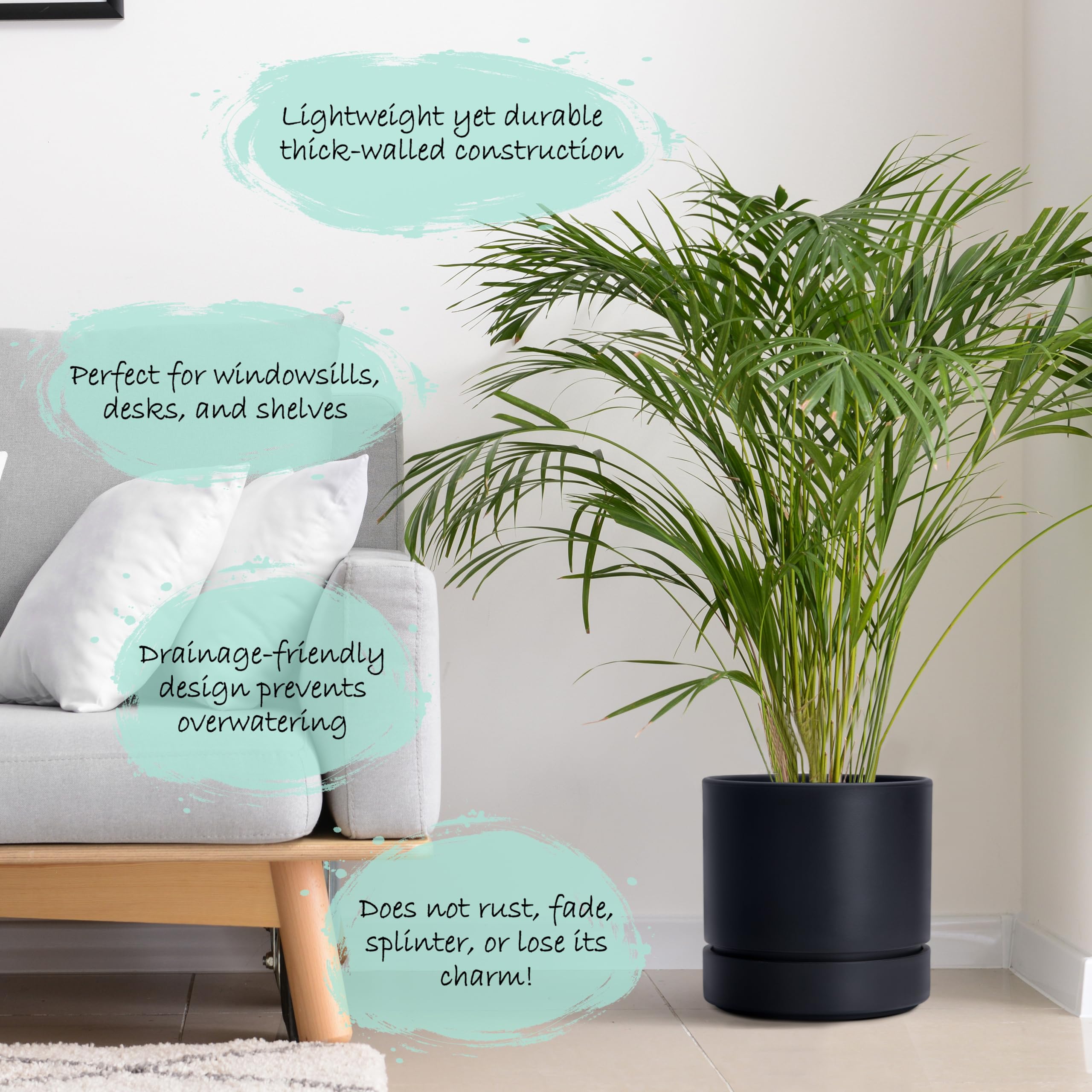 Phoenix Vine maceta en mano para comparar tamaño, fácil de mover