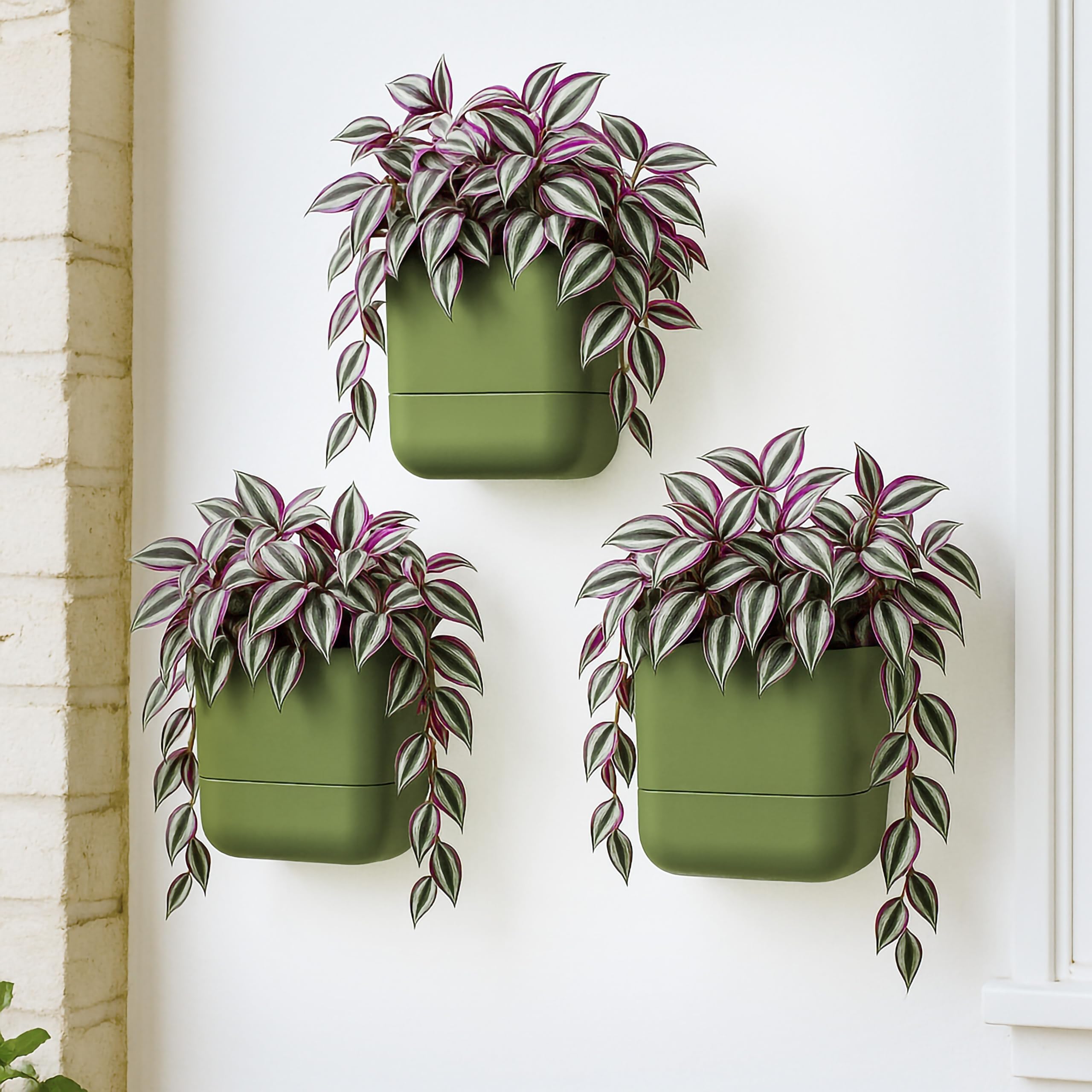 Phoenix Vine set de tres macetas montadas en pared creando un muro verde