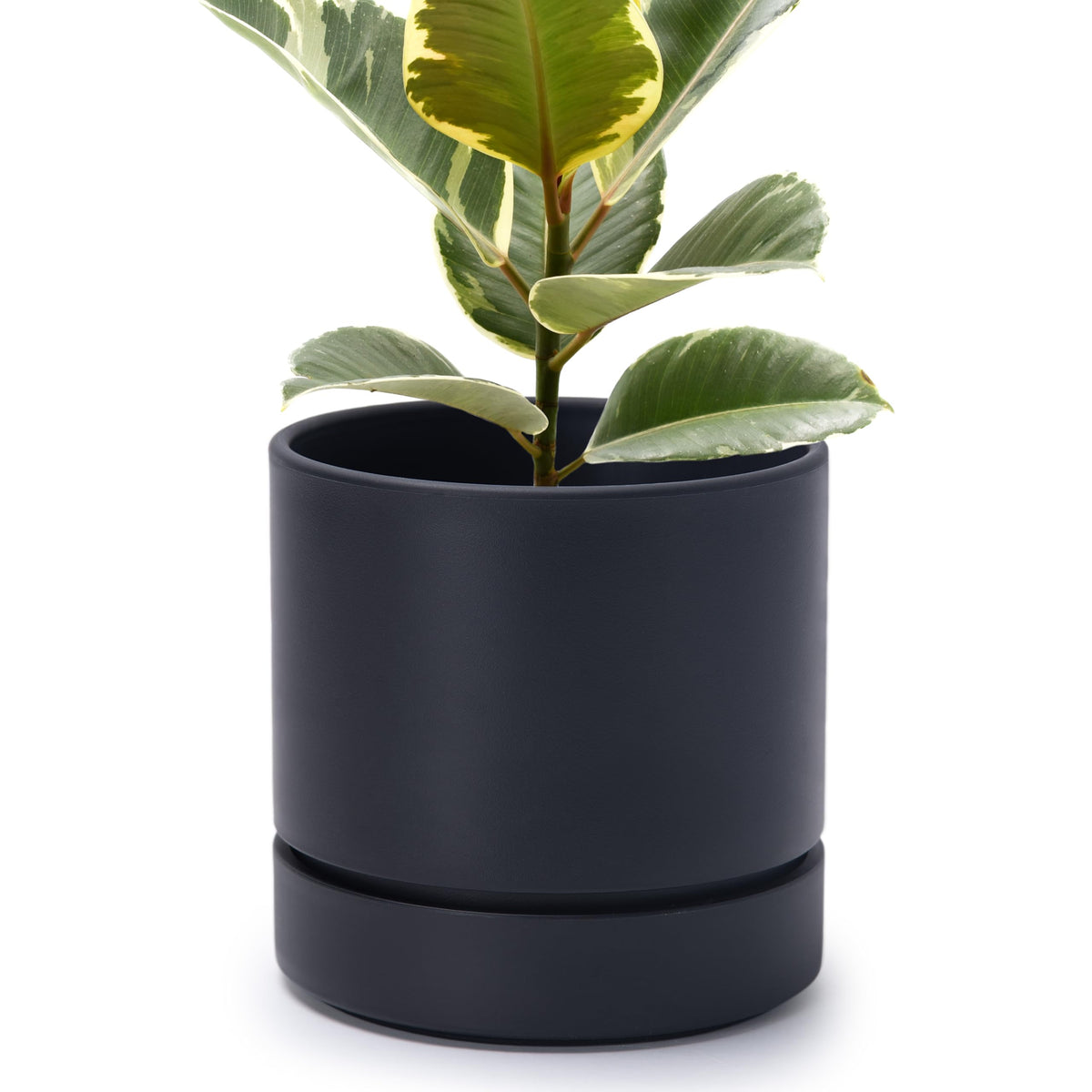 Phoenix Vine maceta frontal en negro mate, aspecto minimalista y elegante