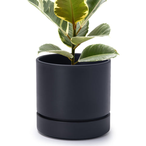 Phoenix Vine maceta frontal en negro mate, aspecto minimalista y elegante