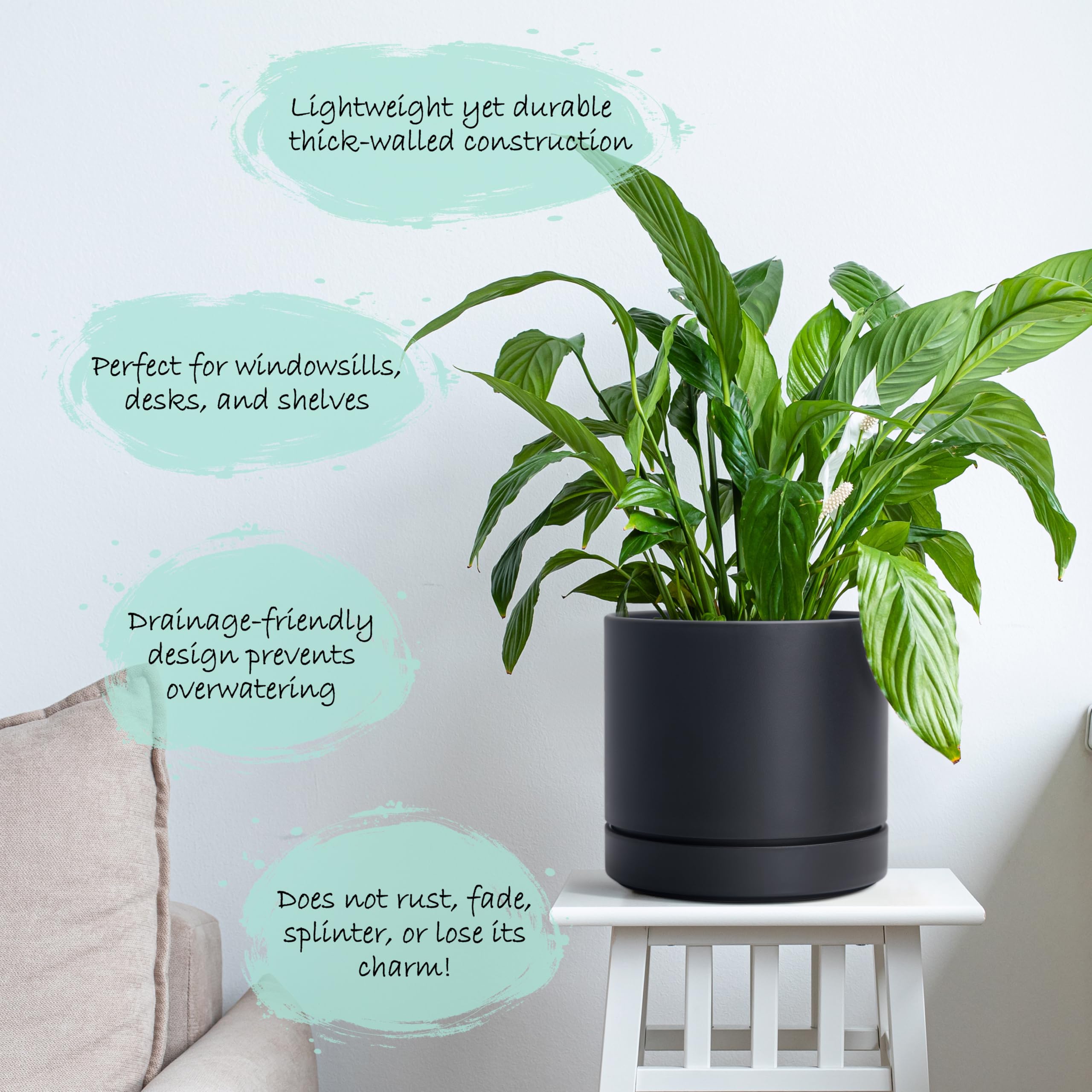 Phoenix Vine maceta en estantería con planta demostrando uso interior elegante