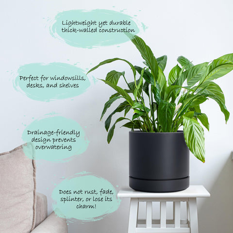 Phoenix Vine maceta en estantería con planta demostrando uso interior elegante