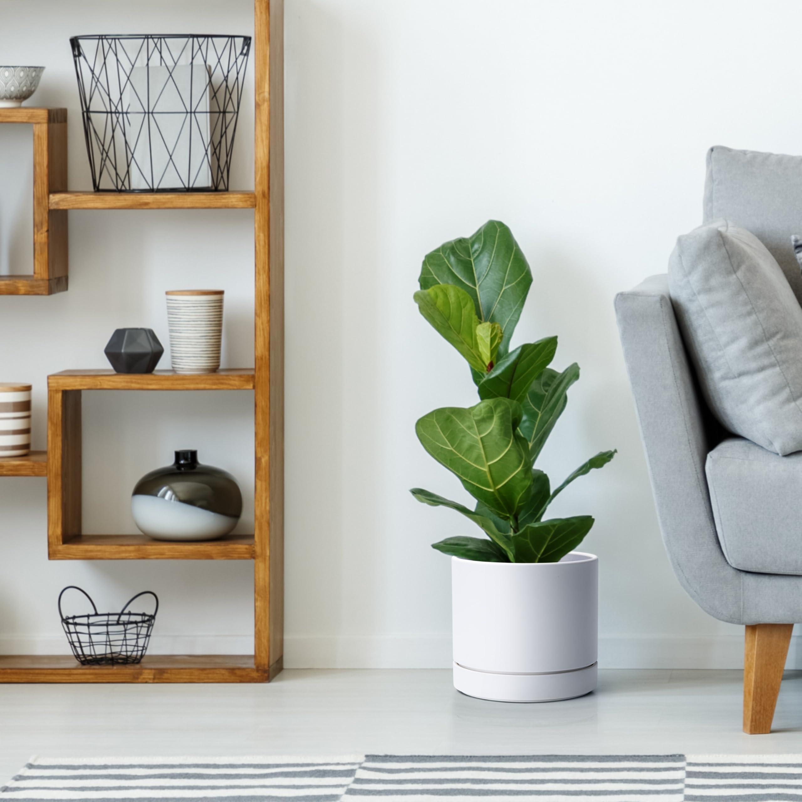 Phoenix Vine maceta con planta en sala, aporta orden y estilo minimalista