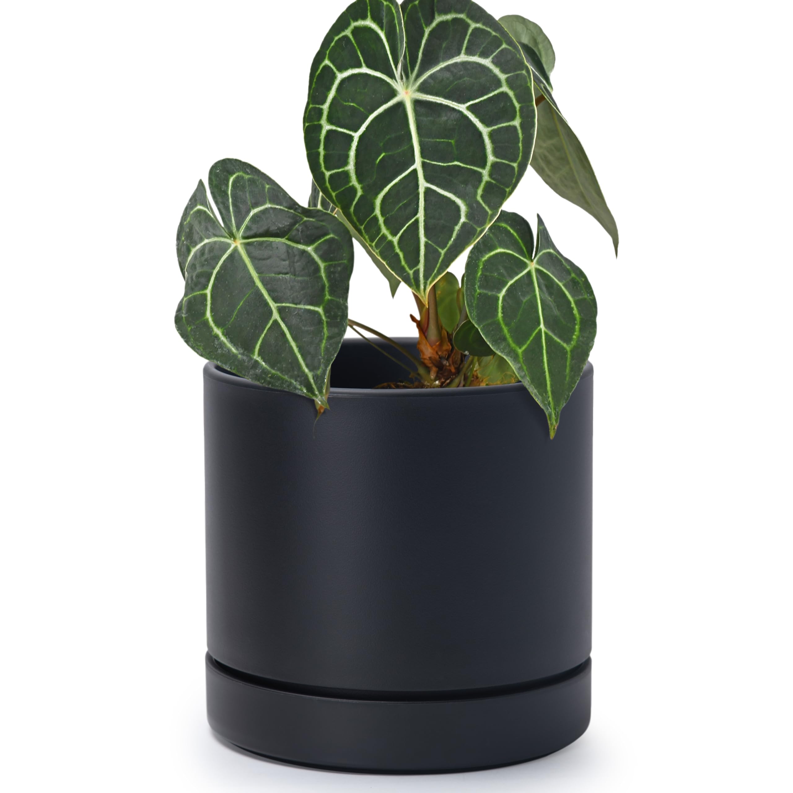 Phoenix Vine vista frontal de maceta mate negra, diseño elegante y funcional