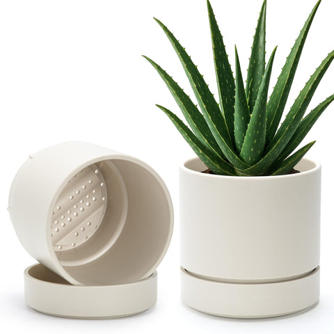 Phoenix Vine maceta frontal oatmeal, aspecto elegante y neutro