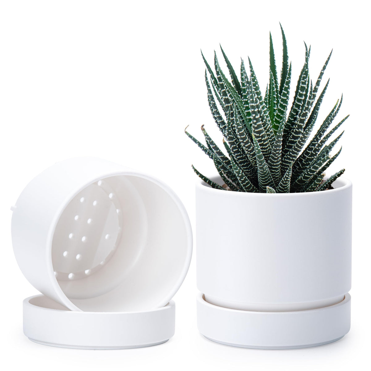 Phoenix Vine maceta frontal blanca mate mostrando su forma cilíndrica y diseño elegante
