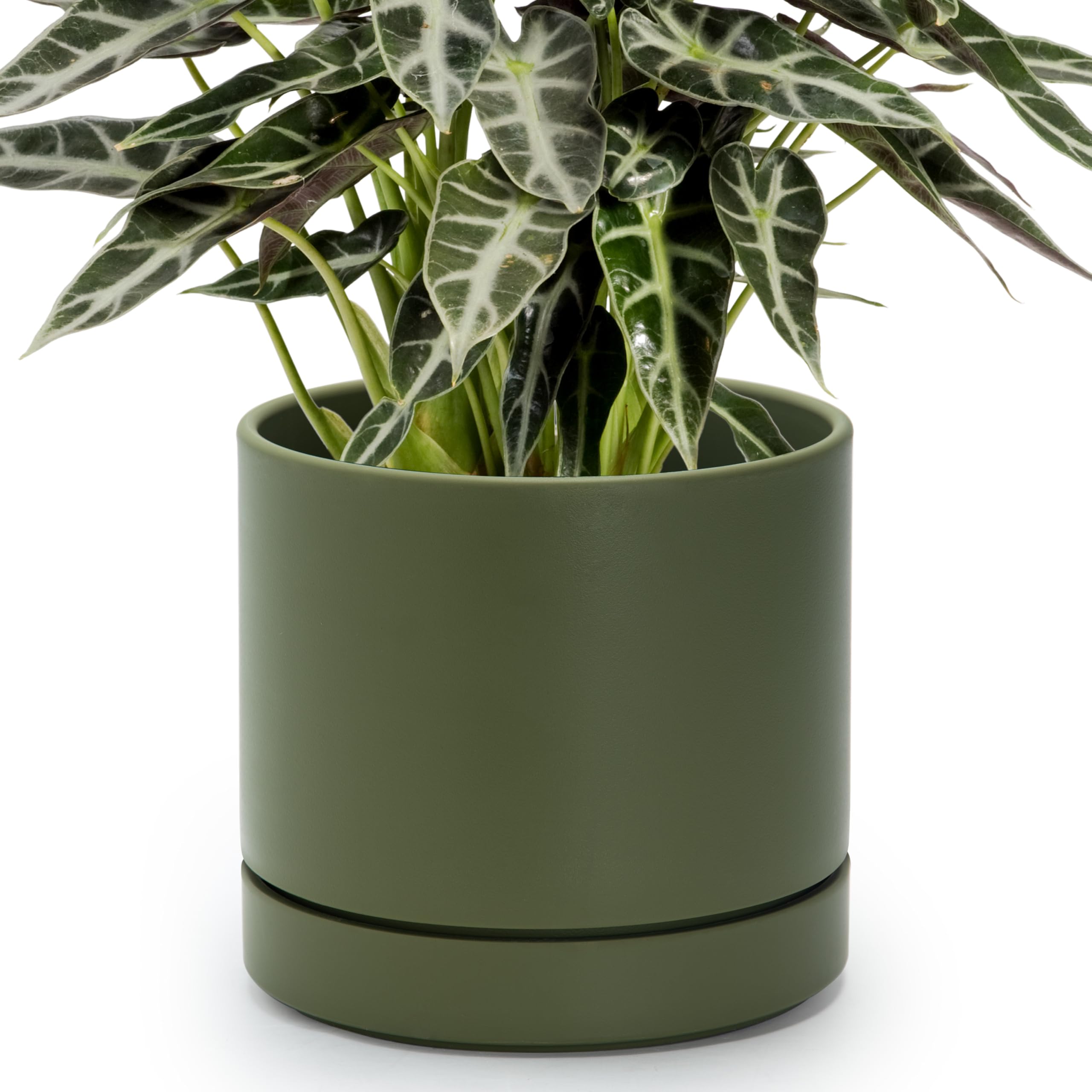 Phoenix Vine maceta frontal oliva mostrando su forma cilíndrica y estética moderna