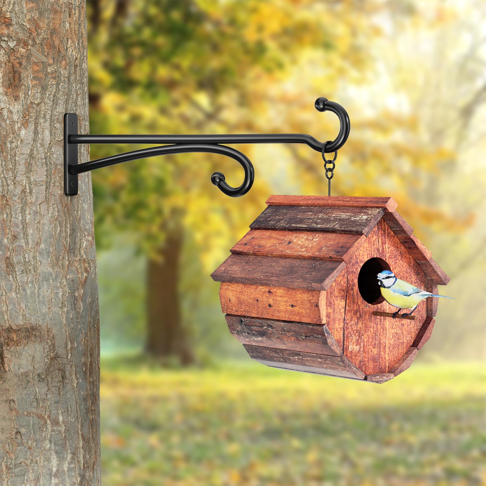 pickpiff gancho sosteniendo comedero de pájaros, facilita observación de aves