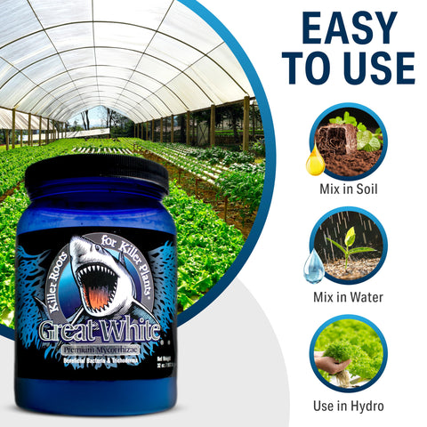 Plant Success maceta con plántula tratada con Great White, crecimiento vigoroso