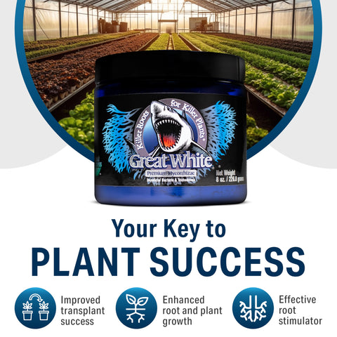 Plant Success producto Great White en invernadero, uso profesional y hobby