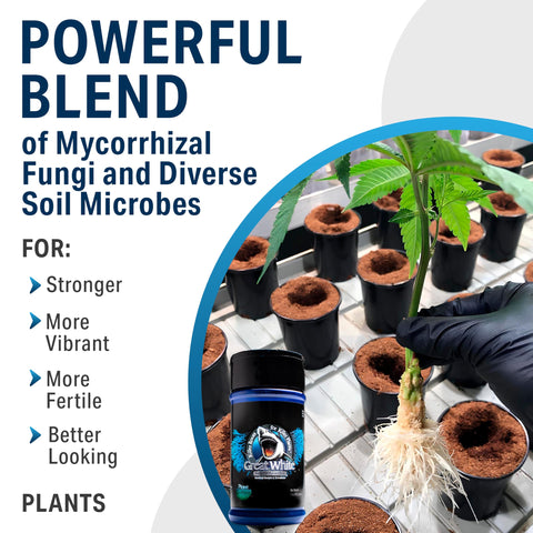 Plant Success etiqueta Great White con ingredientes, información clara y precisa