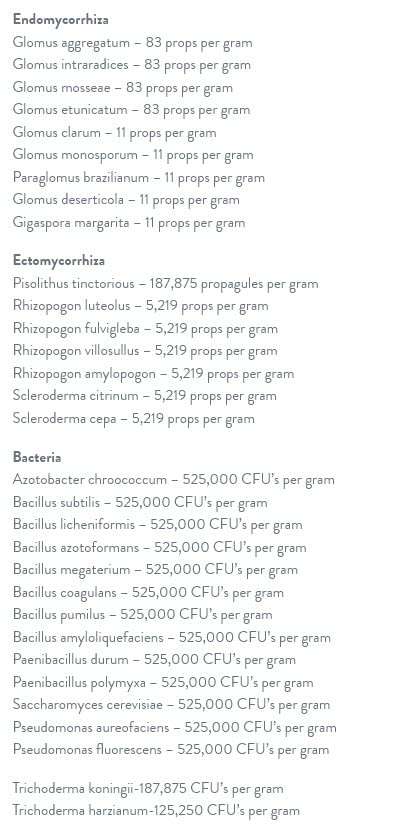 Plant Success uso en sistema hidropónico mejorando absorción de nutrientes