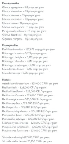 Plant Success uso en sistema hidropónico mejorando absorción de nutrientes