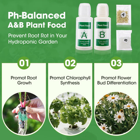 PlantaPulse canastilla con domo y esponja listas para germinar semillas rápidamente