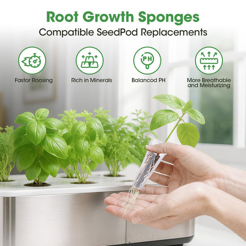 PlantaPulse detalle de esponja que muestra textura y buena retención de agua