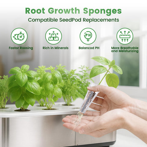 PlantaPulse esponja detalle, textura que promueve raíces sanas